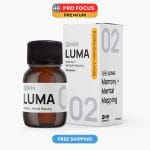02 LUMA Memory + Mental Mapping